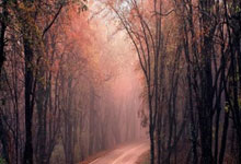 挥戈之战：猛龙再遇骑士，胜者将成为强势一方！