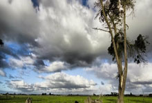 挥戈之战：猛龙再遇骑士，胜者将成为强势一方！