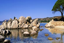 美国选手大放异彩，实现完美逆袭