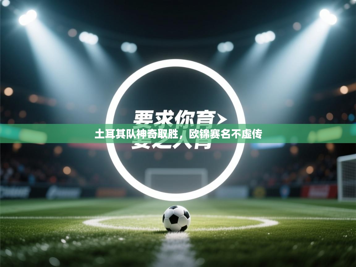 土耳其队神奇取胜，欧锦赛名不虚传  第2张